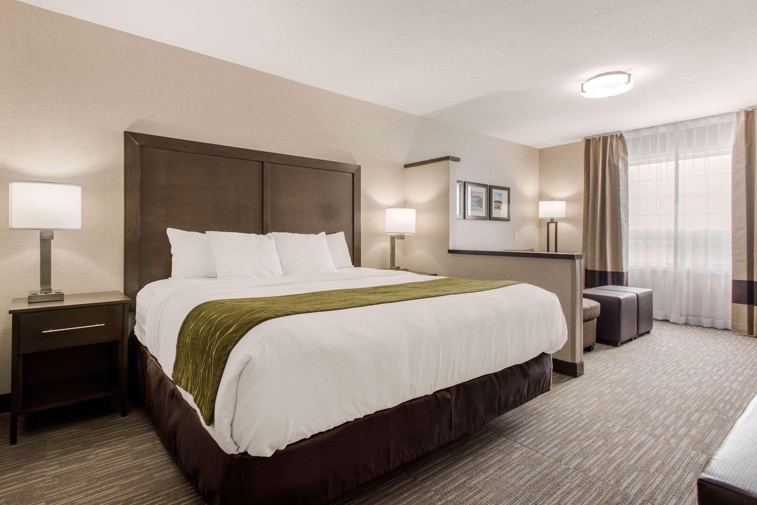 Comfort Inn & Suites Ред-Дір Екстер'єр фото