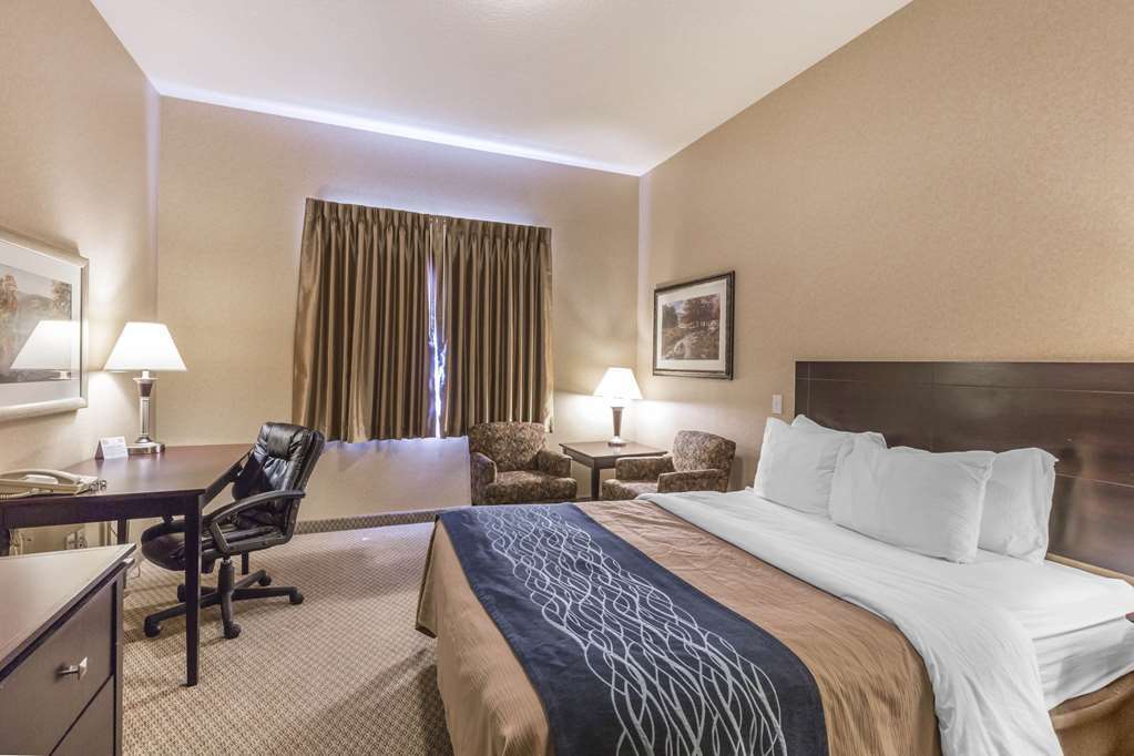 Comfort Inn & Suites Ред-Дір Номер фото